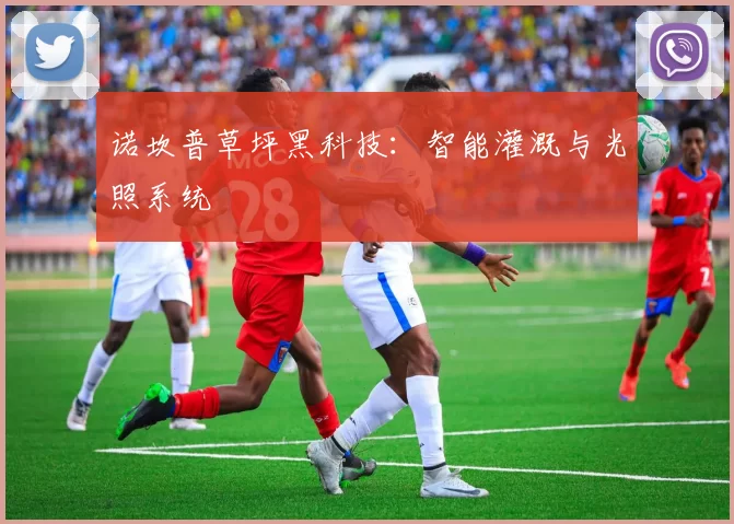 诺坎普草坪黑科技：智能灌溉与光照系统