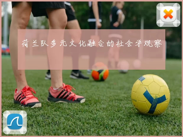 荷兰队多元文化融合的社会学观察
