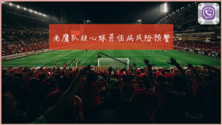 老鹰队核心球员伤病风险预警