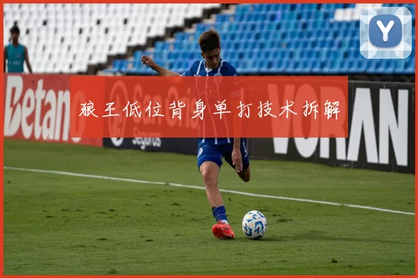 狼王低位背身单打技术拆解