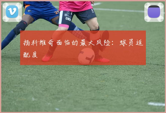 扬科维奇面临的最大风险：球员适配度