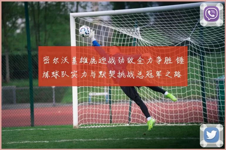 密尔沃基雄鹿迎战劲敌全力争胜 锤炼球队实力与默契挑战总冠军之路