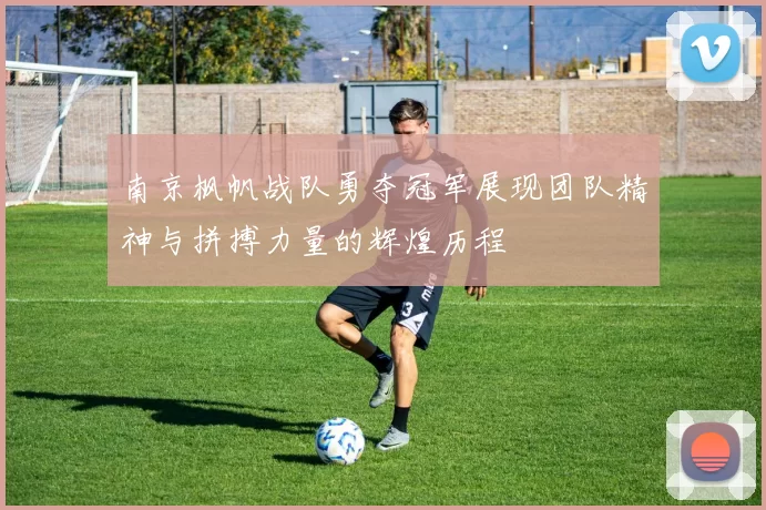 南京枫帆战队勇夺冠军展现团队精神与拼搏力量的辉煌历程