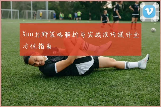 Xun打野策略解析与实战技巧提升全方位指南