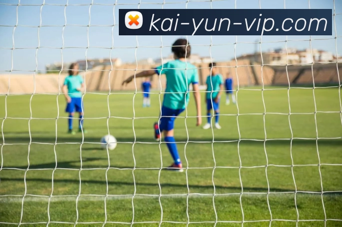 开云kaiyun发展历程